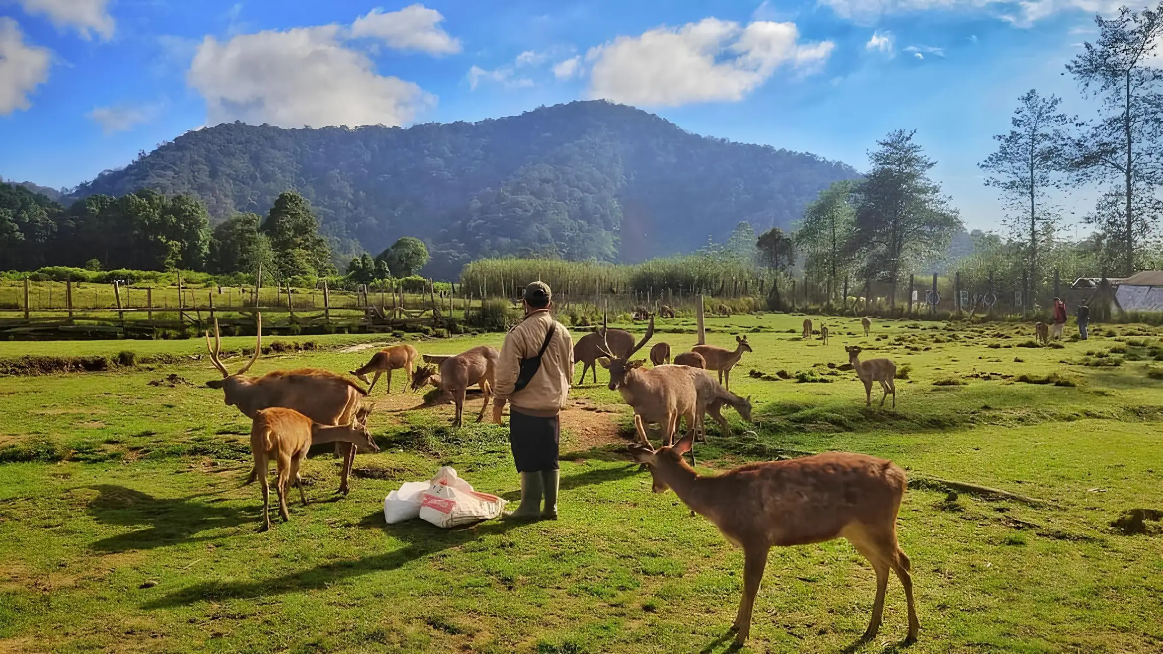 Ranca Upas — kafe relaksasi di kawasan konservasi